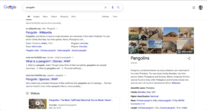 knowledge graph 1 e1606158723615