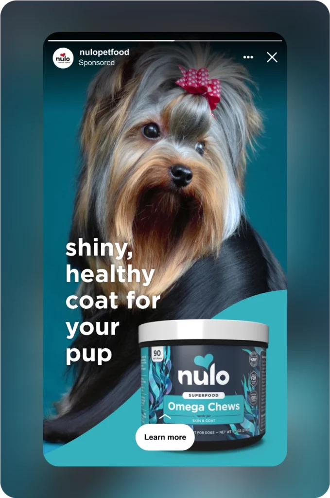 Screenshot of an Instagram ad for Nulo Pet Food.