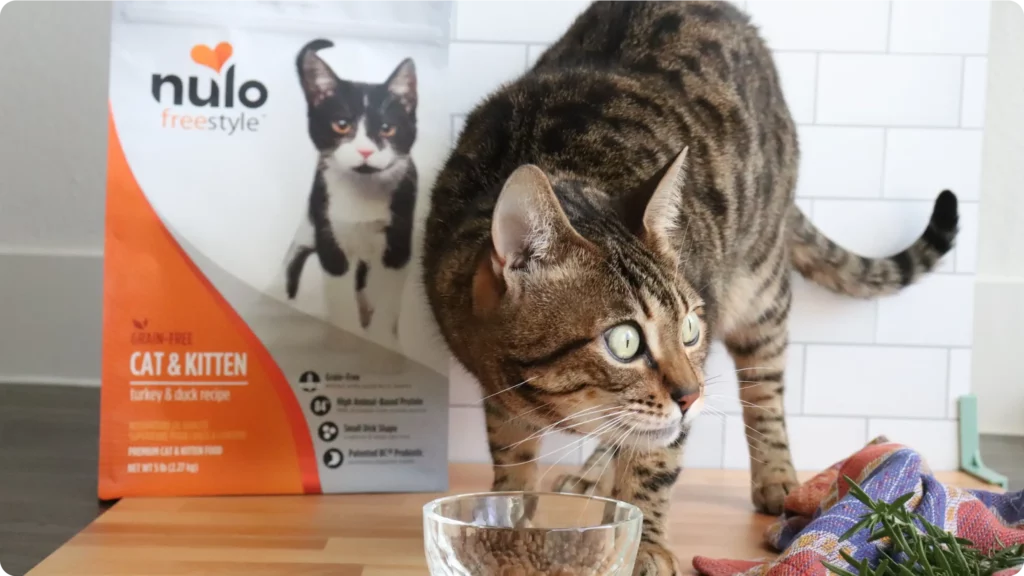 A cat eating food out of a glass bowl. Next to it is a bag of Nulo pet food.