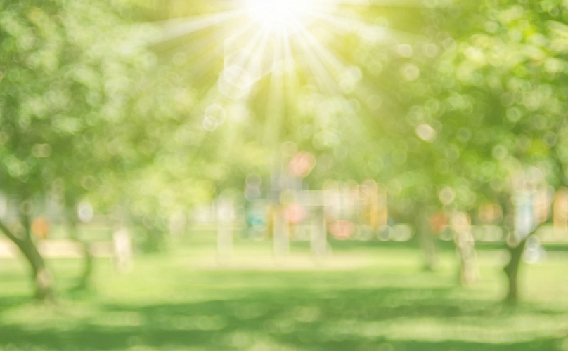 Blurry image of an outdoor park during the day.